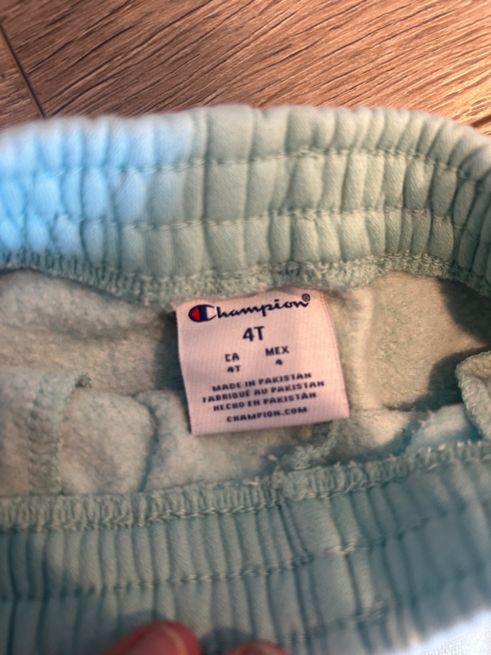 NWOT Champion Kids Light Mint Green Hoodie & Joggers Set Size 4T - Picture 2 of 5